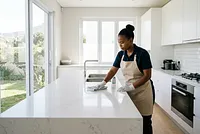 Cleaning Businesses
